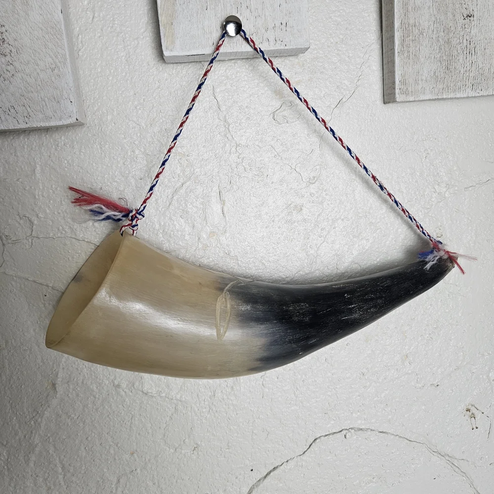Carved Norse Nordic Forklore Viking Horn Pomaire Chile Souvenir 9” Long